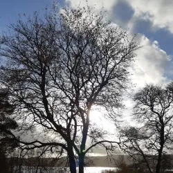 Rødenes Church - Askim