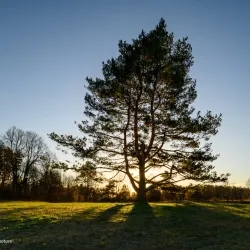 Kalvøya Island - Baerum