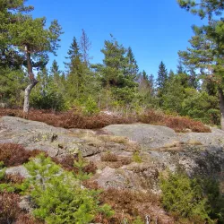 Kolsås Mountain - Baerum