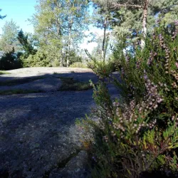 Kolsås Mountain - Baerum