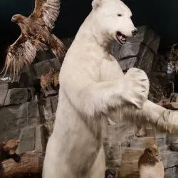 Bergen Aquarium - Bergen