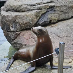 Bergen Aquarium - Bergen