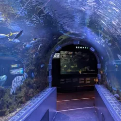 Bergen Aquarium - Bergen