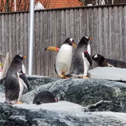 Bergen Aquarium - Bergen