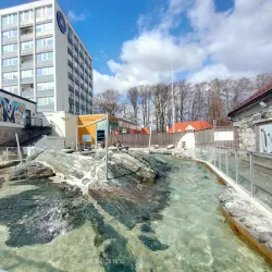 Bergen Aquarium - Bergen