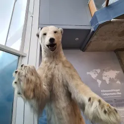 Bergen Aquarium - Bergen