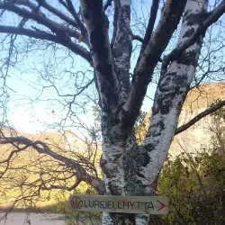 Løpvatnet Lake - Bodo