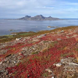 Rønvikfjellet - Bodo