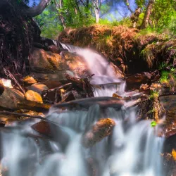 Rønvikfjellet - Bodo