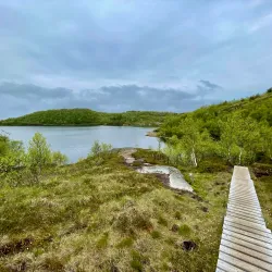 Rønvikfjellet - Bodo