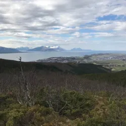 Rønvikfjellet - Bodo