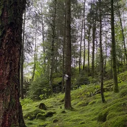 Jølstra River - Dale i Sunnfjord