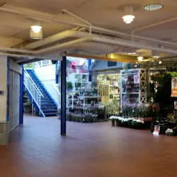 Sunnfjord Alpine Ski Center - Dale i Sunnfjord