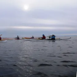 Sunnfjord Kayak Tours - Dale i Sunnfjord