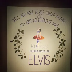 Drammen Museum - Drammen