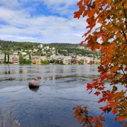 Gulskogen Manor and Park - Drammen