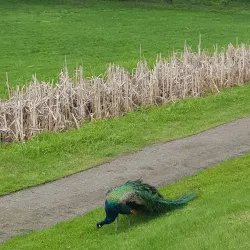 Gulskogen Manor and Park - Drammen