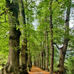 Gulskogen Manor and Park - Drammen