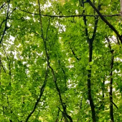 Gulskogen Manor and Park - Drammen