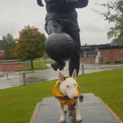 Marienlyst Park - Drammen