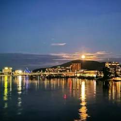 Ypsilon Bridge - Drammen