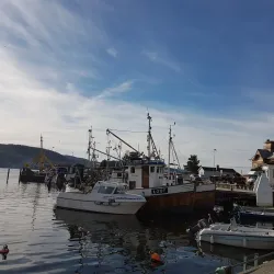 Drøbak Aquarium (Torskehallen) - Drobak