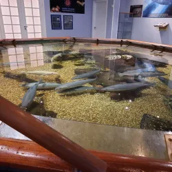 Drøbak Aquarium (Torskehallen) - Drobak