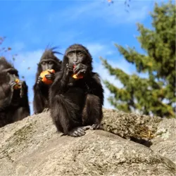 Tangen Park - Drobak