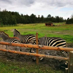 Tangen Park - Drobak