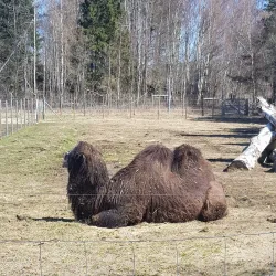 Tangen Park - Drobak