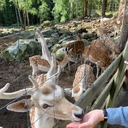 Tangen Park - Drobak