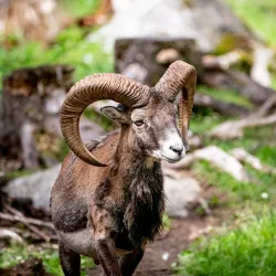 Tangen Park - Drobak