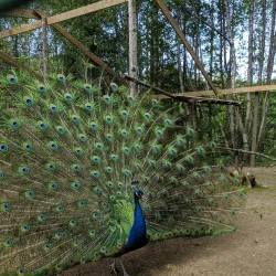 Tangen Park - Drobak