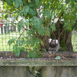 Tangen Park - Drobak