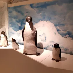 Egersund Maritime Museum - Egersund