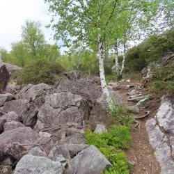 Egersund Old Town (Egersund Gamle By) - Egersund