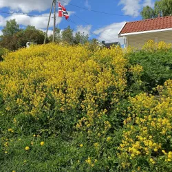 Hellvik Beach - Egersund
