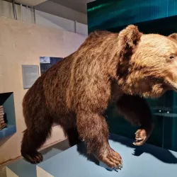 Glomdal Museum (Norwegian Forest Museum) - Elverum