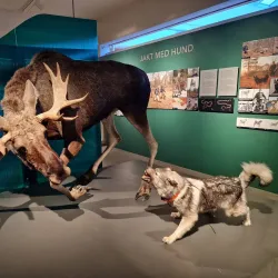 Glomdal Museum (Norwegian Forest Museum) - Elverum