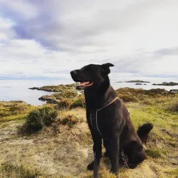 Farsund Coastal Walks - Farsund