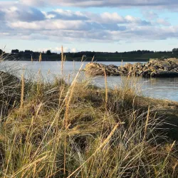 Farsund Coastal Walks - Farsund