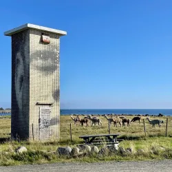 Lista Bird Sanctuary - Farsund