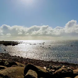 Lista Bird Sanctuary - Farsund