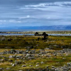 Lista Bird Sanctuary - Farsund
