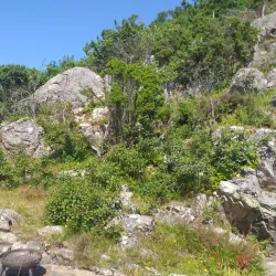 Lomsesanden Beach - Farsund