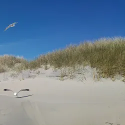 Lomsesanden Beach - Farsund