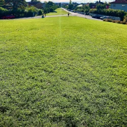 Bakkehaugen - Flekkefjord