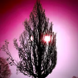 Fredrikstad Art Gallery (Fredrikstad Kunstforening) - Fredrikstad