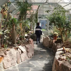 Agder Natural History Museum and Botanical Garden - Grimstad