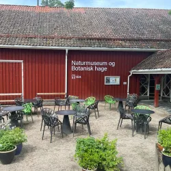 Agder Natural History Museum and Botanical Garden - Grimstad